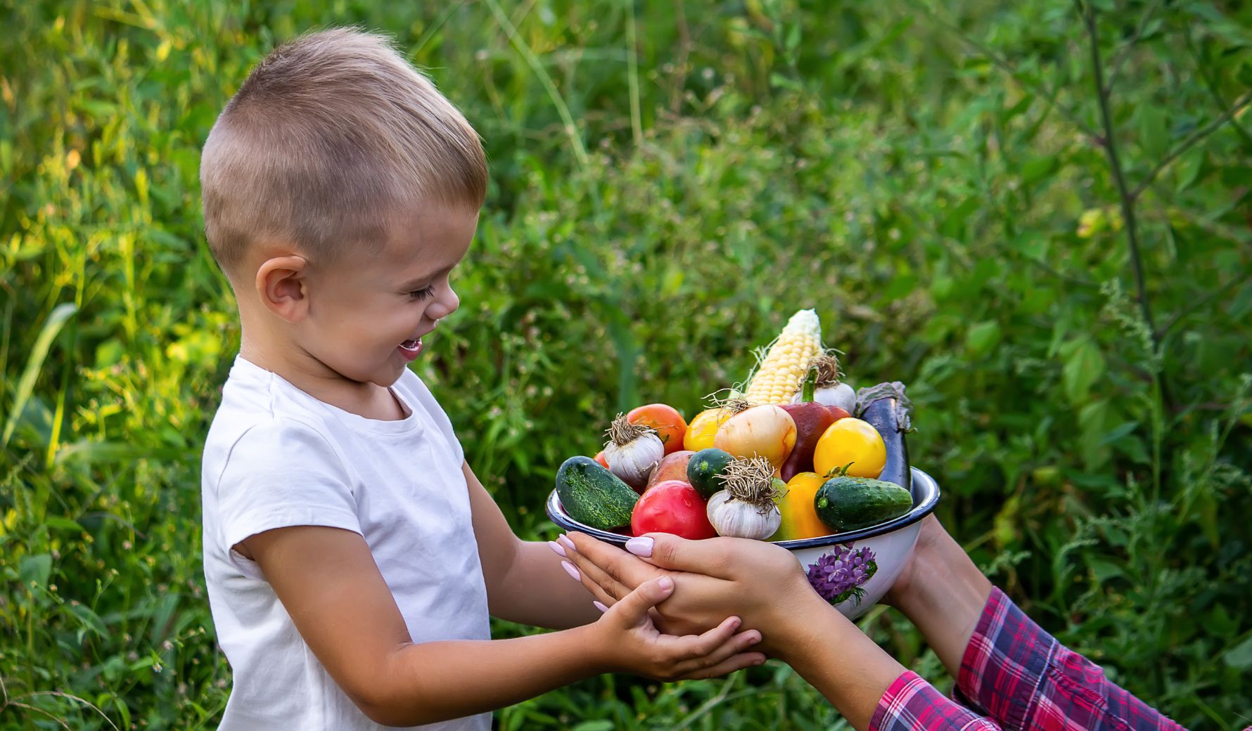 L'importanza di ricevere una corretta educazione alimentare